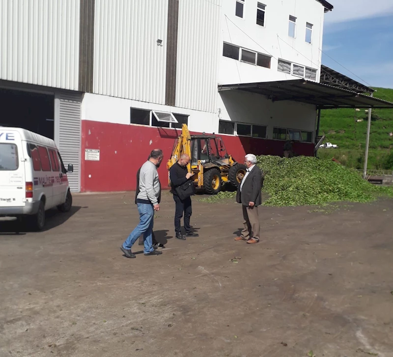 Çay sektörü mercek altında
