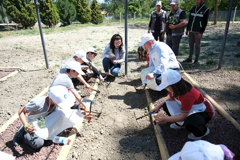 Çorum’da minikler fideleri toprakla buluşturdu
