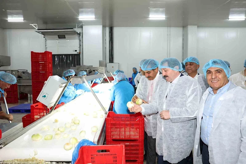 Meyve ve sebze sektöründe Samsun ve İzmir iş birliği
