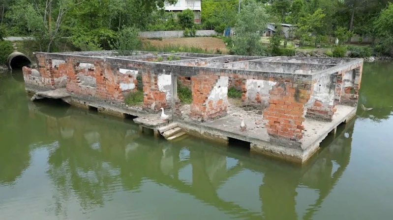 Batık mahallede sudan yükselen ’minare’
