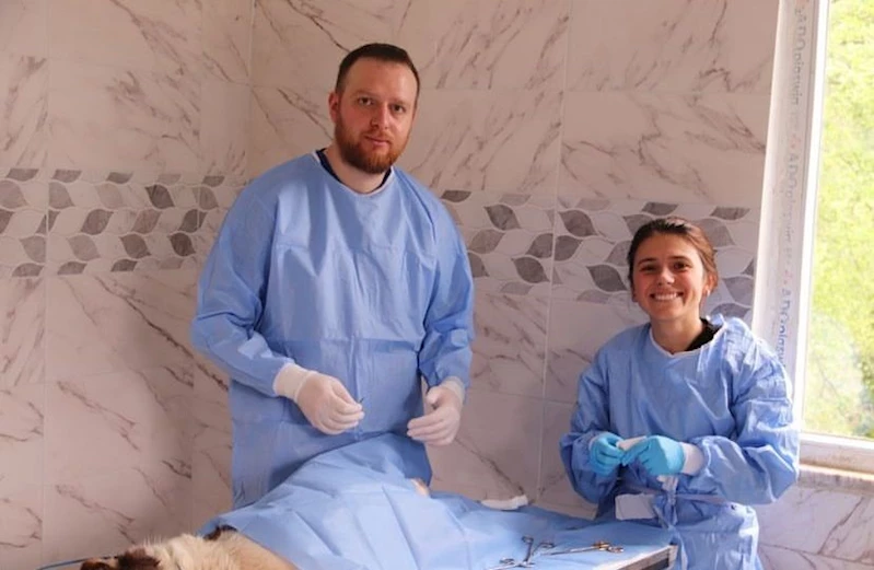 Hopa Belediyesi’nden sokak hayvanlarına kısırlaştırma, küpelenme ve mikroçip
