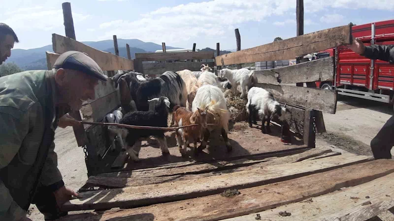 Kurban pazarında son yılların en durgun günleri yaşanıyor
