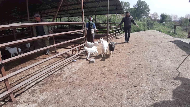 Kurban pazarında son yılların en durgun günleri yaşanıyor
