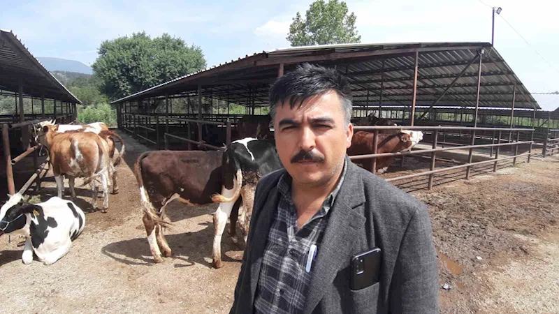 Kurban pazarında son yılların en durgun günleri yaşanıyor
