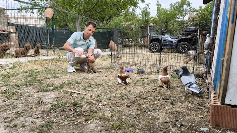 Tilki kümese bekçi oldu
