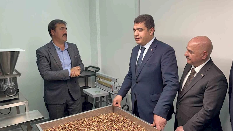 Fındığın ekonomik değeri artacak
