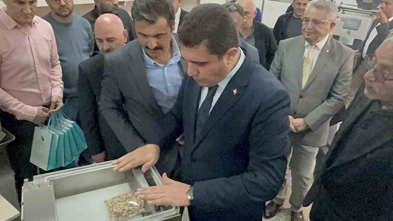 Fındığın ekonomik değeri artacak
