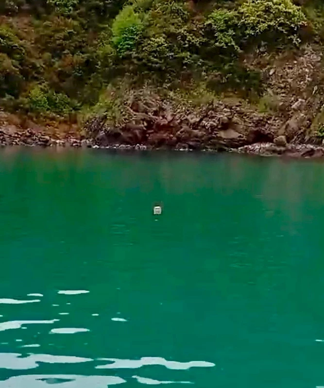 Karadeniz’de şüpheli cisim alarmı
