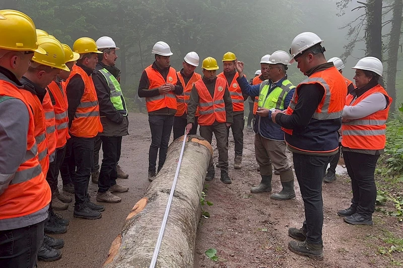 Doğru ağaç kesme eğitimi verildi
