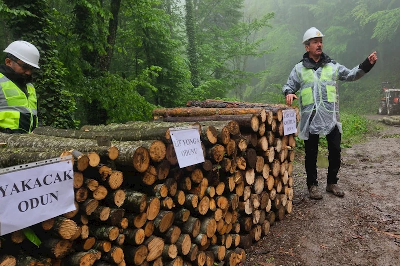 Doğru ağaç kesme eğitimi verildi
