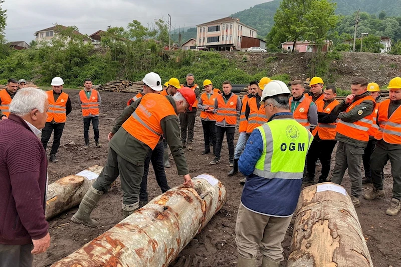 Doğru ağaç kesme eğitimi verildi
