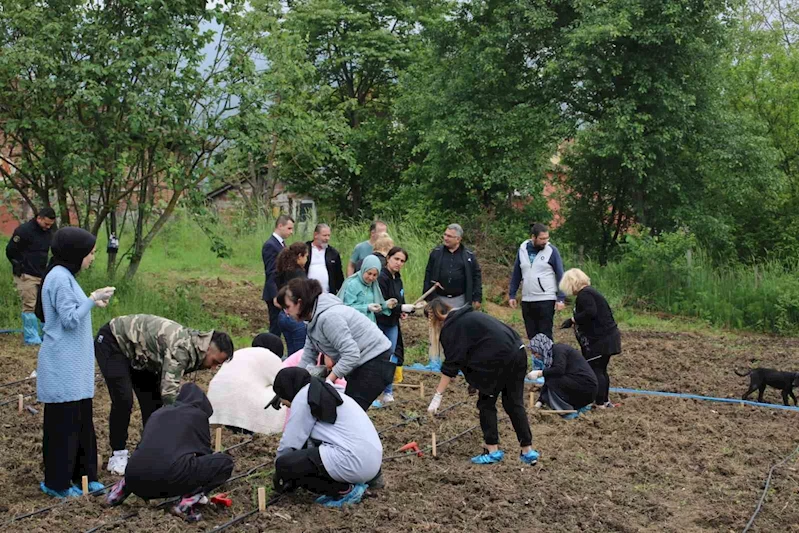 Tıbbi ve aromatik bitkiler toprakla buluştu
