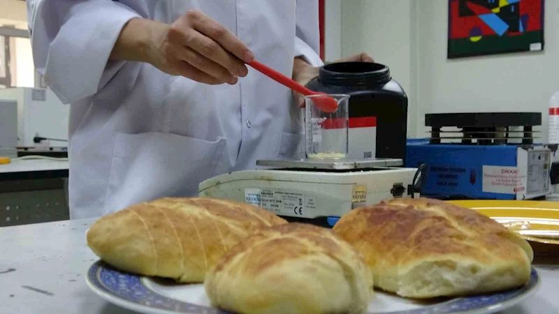 Bitki özlerinden ekmekte küflenmeyi geciktirecek katkı maddesi ürettiler
