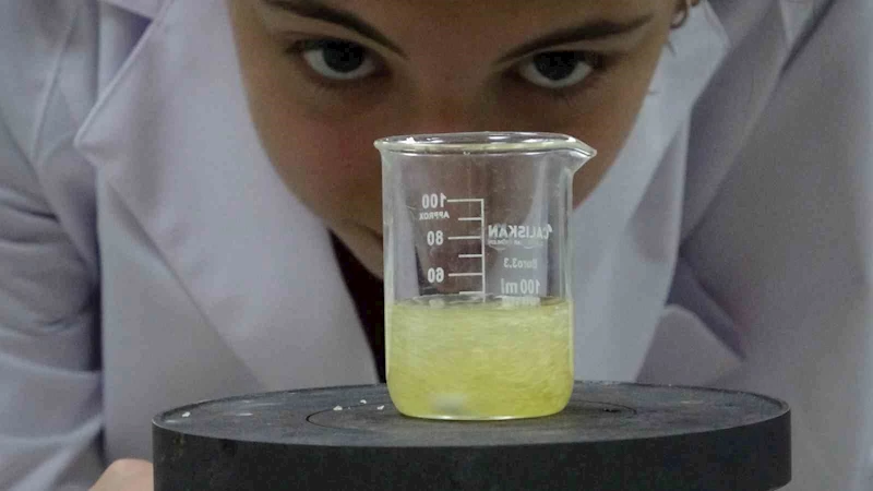 Bitki özlerinden ekmekte küflenmeyi geciktirecek katkı maddesi ürettiler
