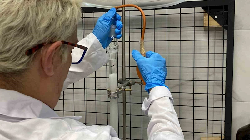 Prostat ve meme kanserinde umut ışığı
