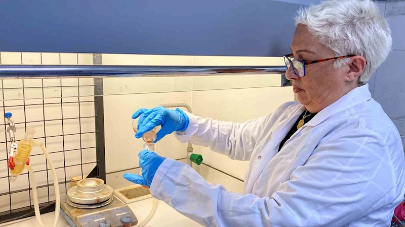 Prostat ve meme kanserinde umut ışığı
