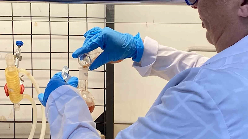 Prostat ve meme kanserinde umut ışığı
