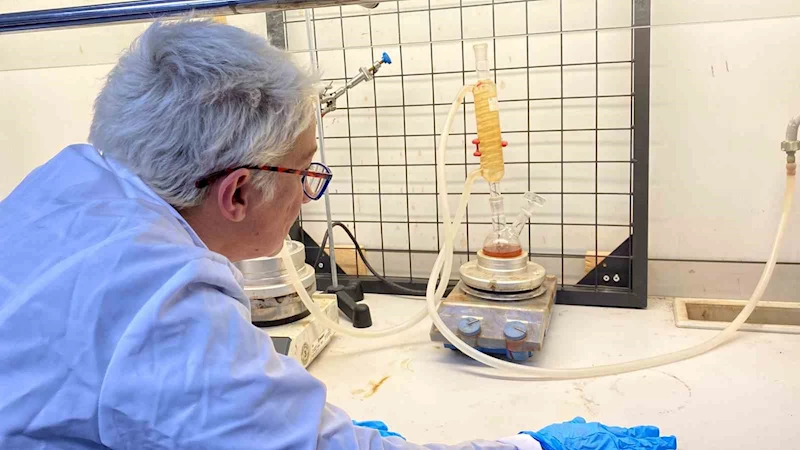 Prostat ve meme kanserinde umut ışığı
