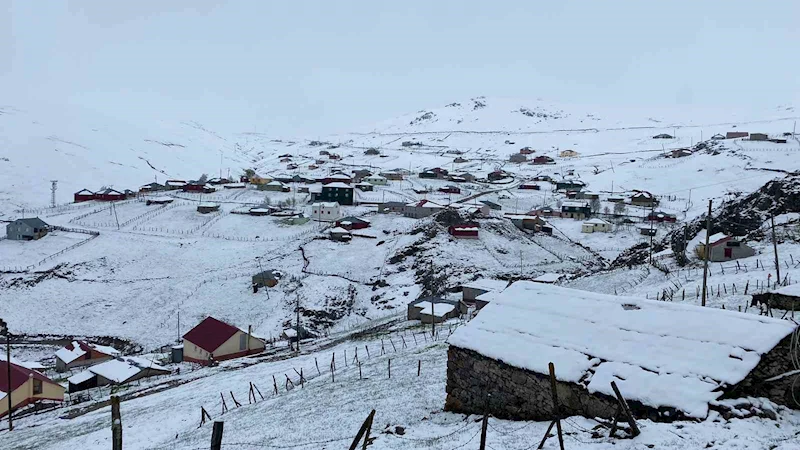 Doğu Karadeniz yaylalarında kış geri döndü
