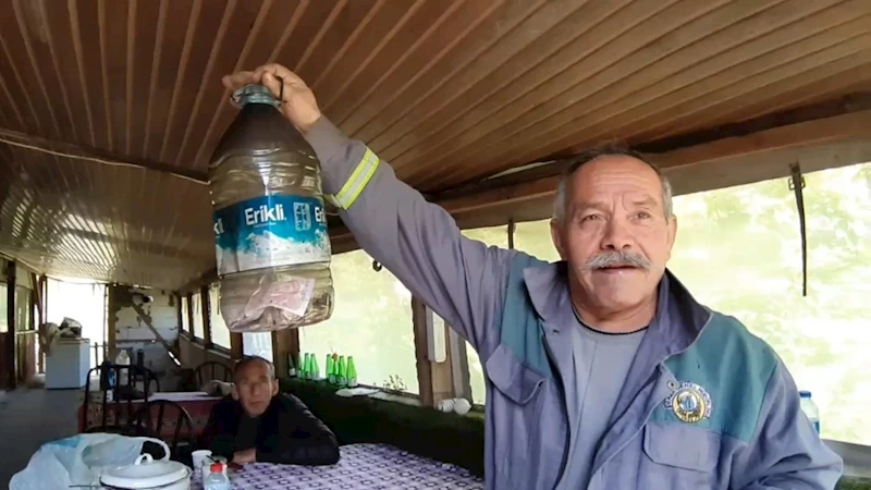 Yangından geriye sadece 120 lirası ve 7 köpeği kaldı
