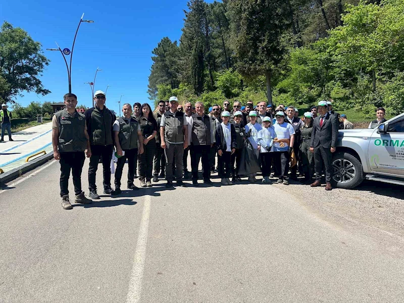 Sinop protokolü ormanları temizledi
