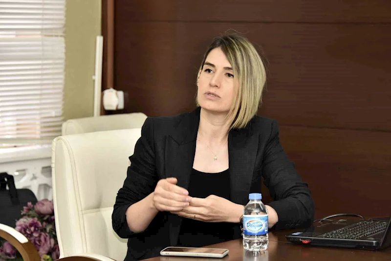 Vali Tanrısever: Satala Antik Kenti Türkiye’ye ve dünya turizmine kazandırılmalı
