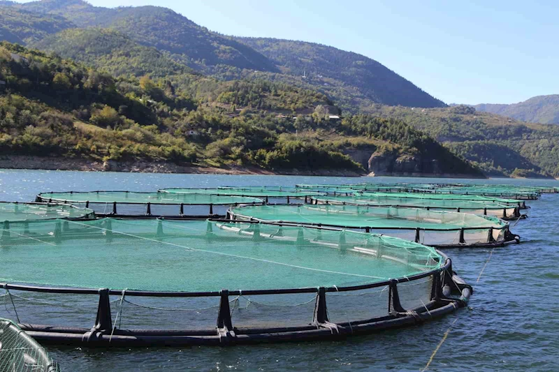 Artvin’de geçtiğimiz yıl 14 bin ton Türk somonu üretildi
