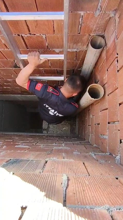 Havalandırmada mahsur kalan yavru güvercinler kurtarıldı
