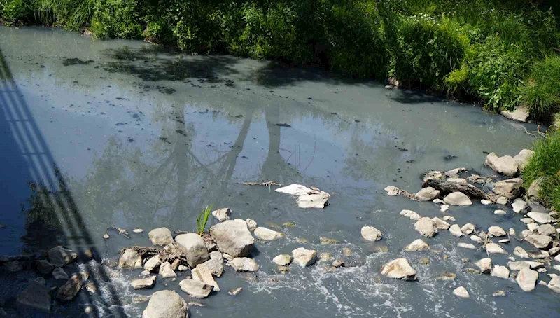 30 yıldır kesilmedik ceza kalmadı, fabrikalar kirletmekten bıkmadı
