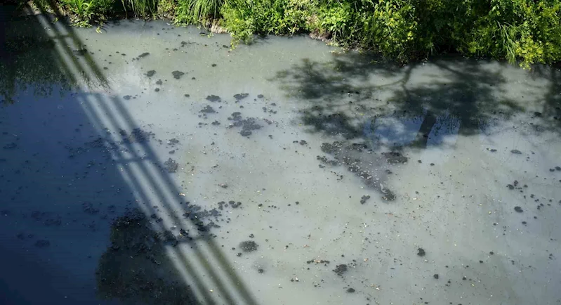 30 yıldır kesilmedik ceza kalmadı, fabrikalar kirletmekten bıkmadı
