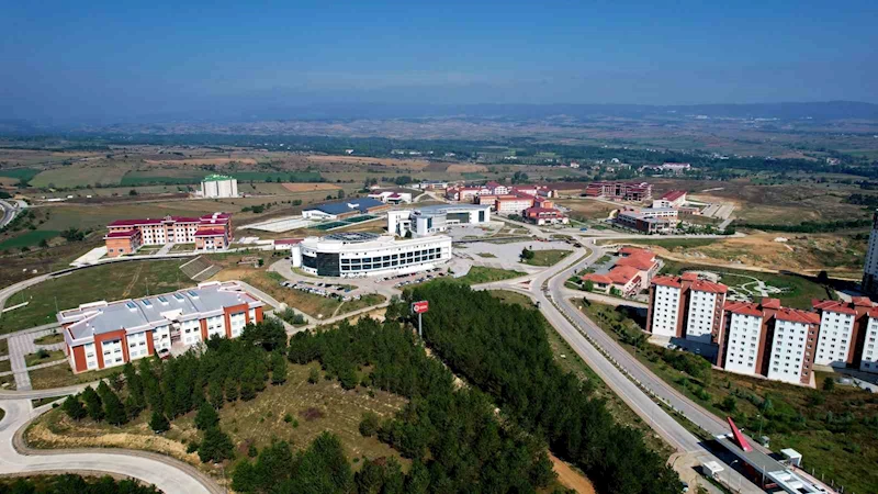 Kastamonu Üniversitesi, diyabet ve kanser tedavisinde silimarinin etkisi araştıracak
