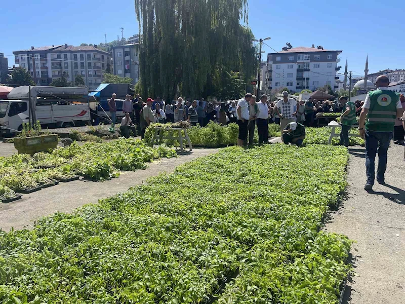 Rize’de ata tohumlarından üretilen 40 bin sebze fidanı vatandaşlara dağıtıldı
