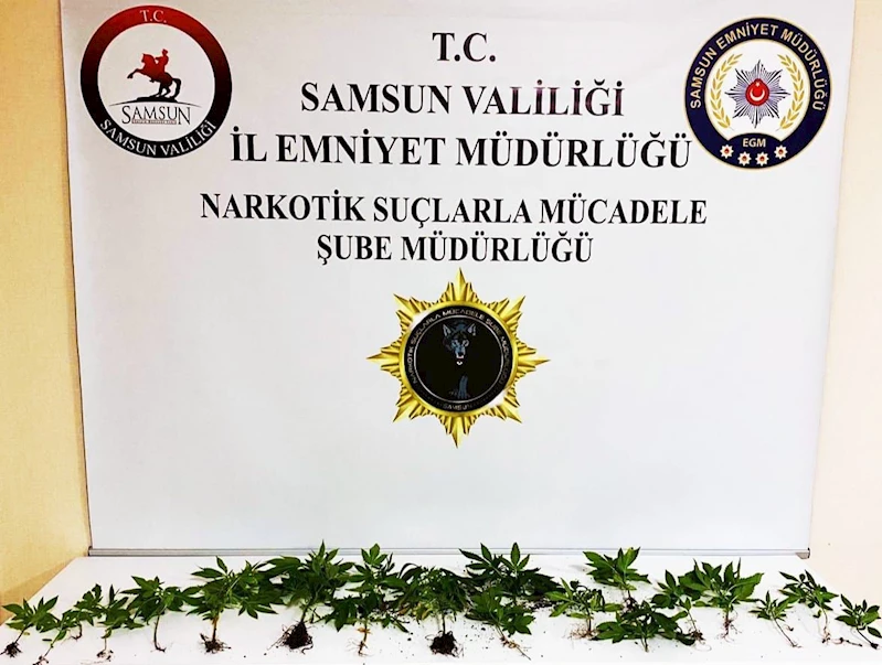 Konfeti kutusuna gizlenmiş uyuşturucu ele geçirildi
