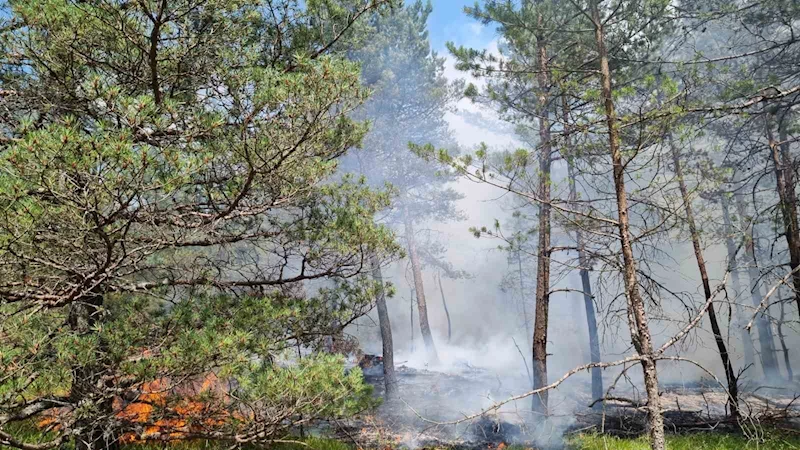 Amasya’da korkutan orman yangını
