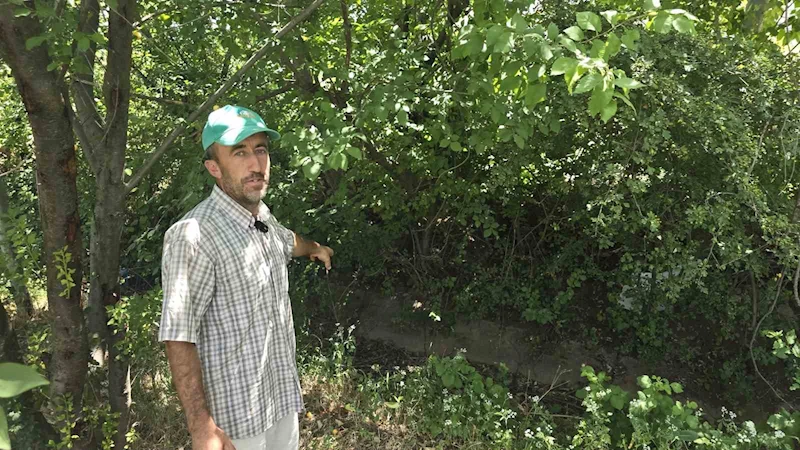 Tokat’ta ahır krizi
