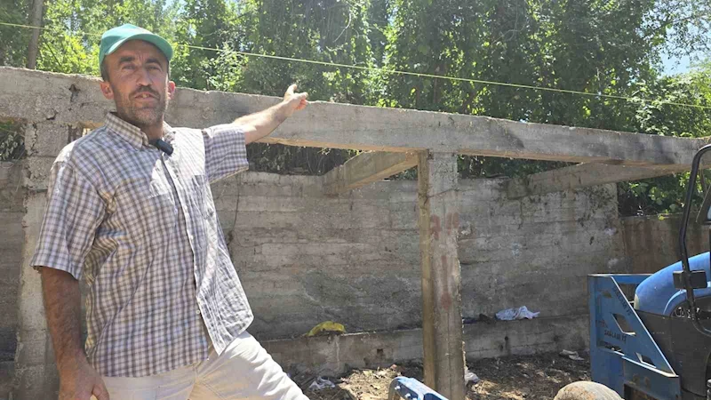 Tokat’ta ahır krizi
