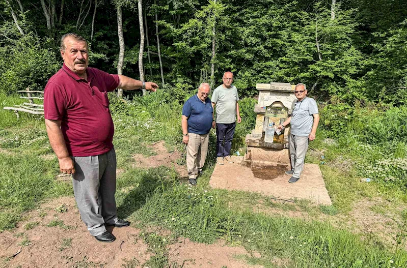 Şeker çeşmesinde şifa arıyorlar
