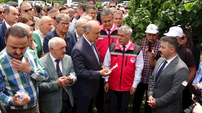 Ordu’da 22 bin samuray arısı kahverengi kokarca ile mücadele için doğaya salındı

