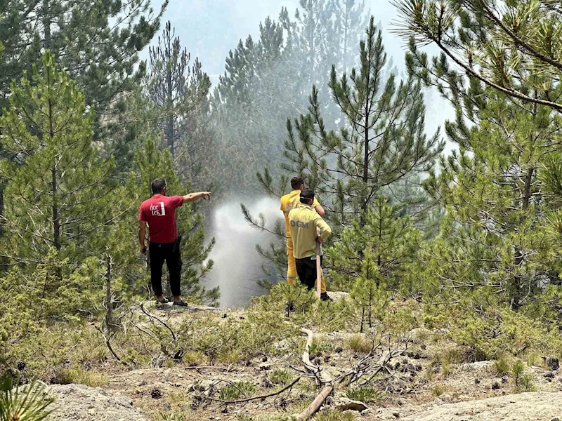 Kastamonu’daki orman yangınları kontrol altına alındı
