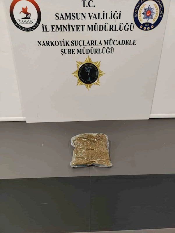 Samsun’da aracında uyuşturucu ele geçen şahıs gözaltına alındı
