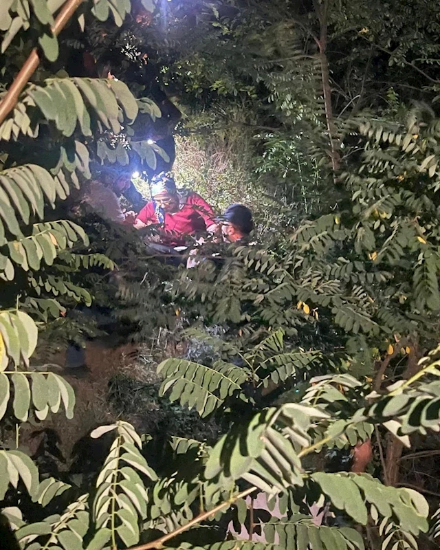 Artvin’de dağ kekiği toplayan aile dağda mahsur kaldı, yardımlarına arama kurtarma ekipleri yetişti
