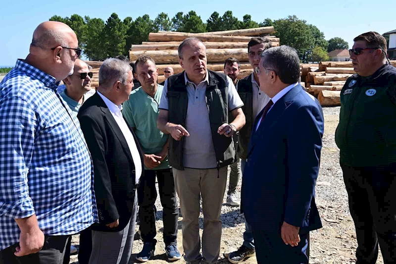 Karadeniz’in en büyük orman deposu Sinop’ta
