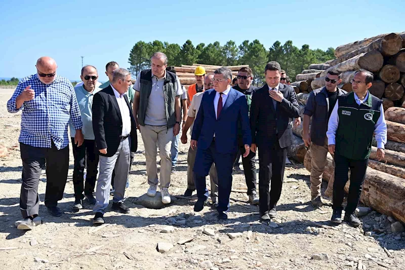 Karadeniz’in en büyük orman deposu Sinop’ta
