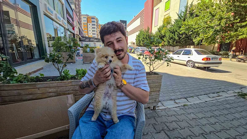 Tokat’ta tasmasız dolaşan doberman tehlike saçtı
