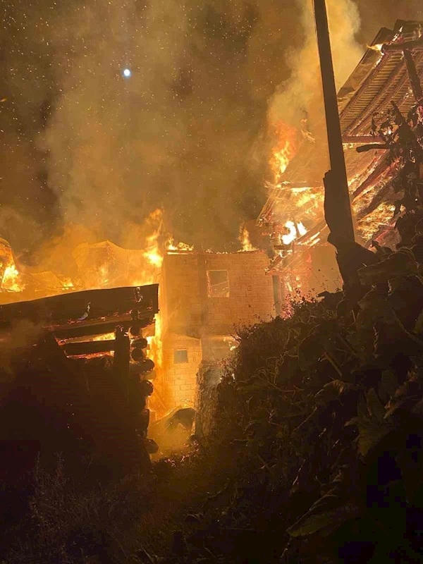 Yusufeli’nde yangın: 3 ev, 3 ahır ve samanlık küle döndü
