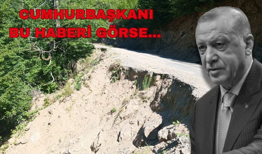 Cumhurbaşkanı bu haberi görse…