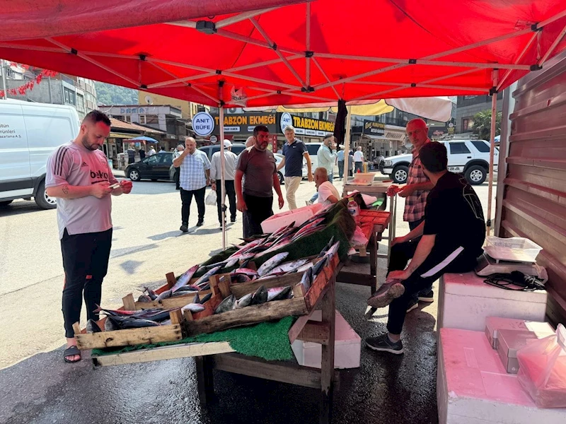 Palamut 100 liradan tezgahta yerini aldı
