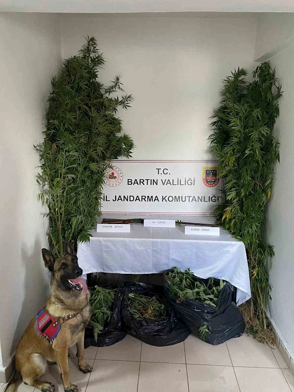 Bartın’da uyuşturucu operasyonu: 6 gözaltı
