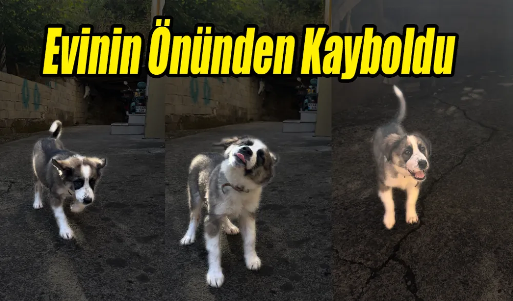 Evinin Önünden Kayboldu