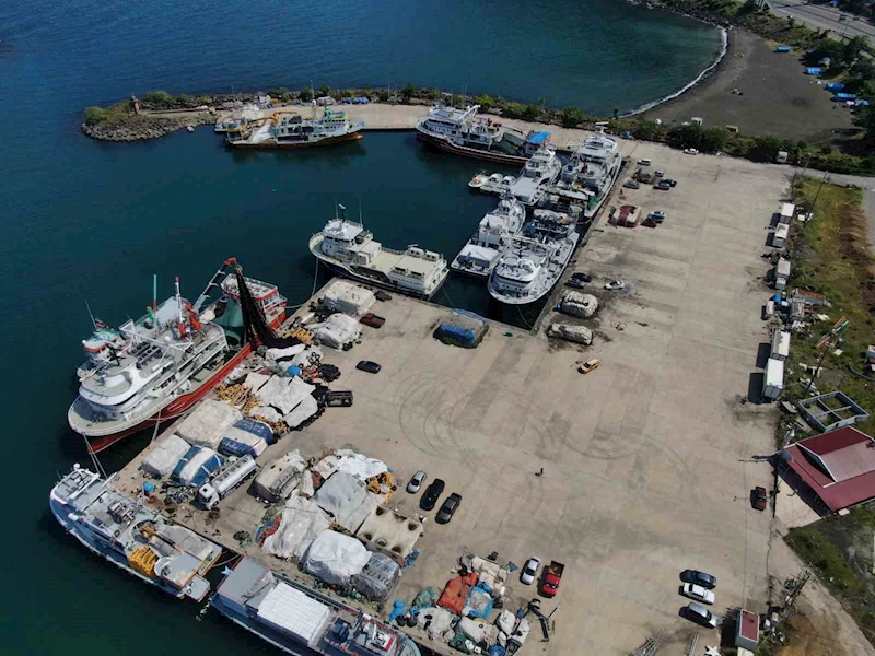 Palamut nereye onlar oraya
